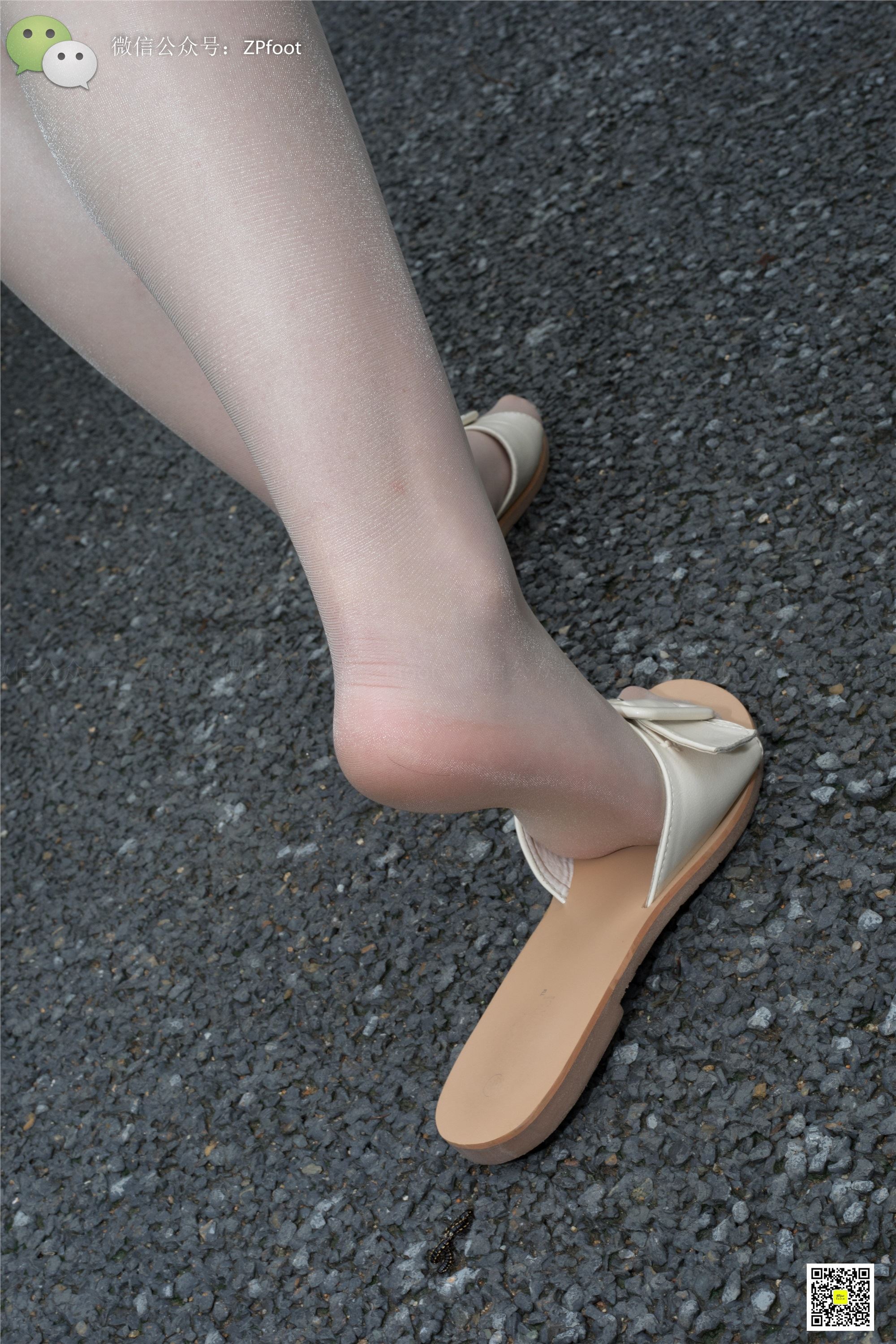 LSS山茶摄影 NO.012 大一艺术系肉丝